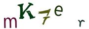 Image CAPTCHA
